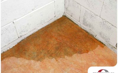4 Signs Your Basement’s Waterproofing Has Failed